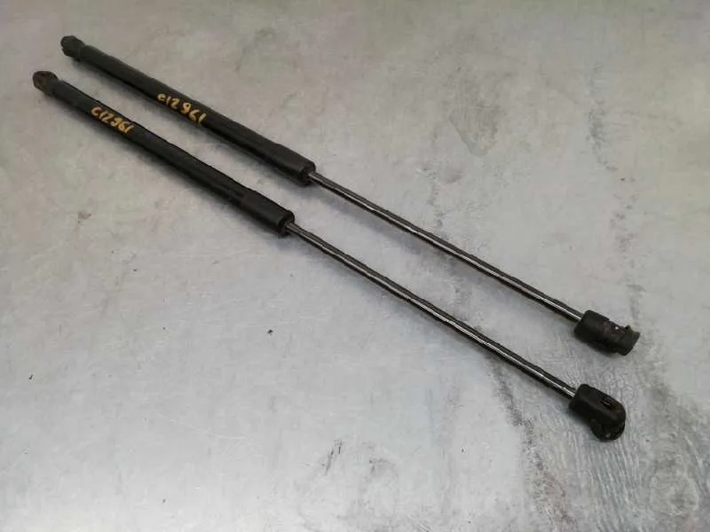 Amortiguadores Maletero / Porton para Ford Fiesta (Ccn)