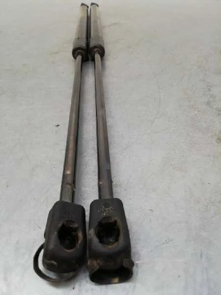 Amortiguadores Maletero / Porton para Ford Fiesta (Ccn)