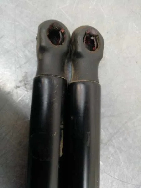 Amortiguadores Maletero / Porton para Ford Fiesta (Ccn)