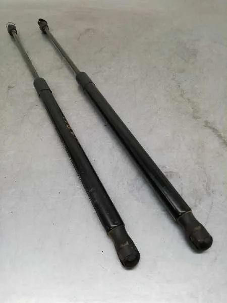 Amortiguadores Maletero / Porton para Ford Fiesta (Ccn)