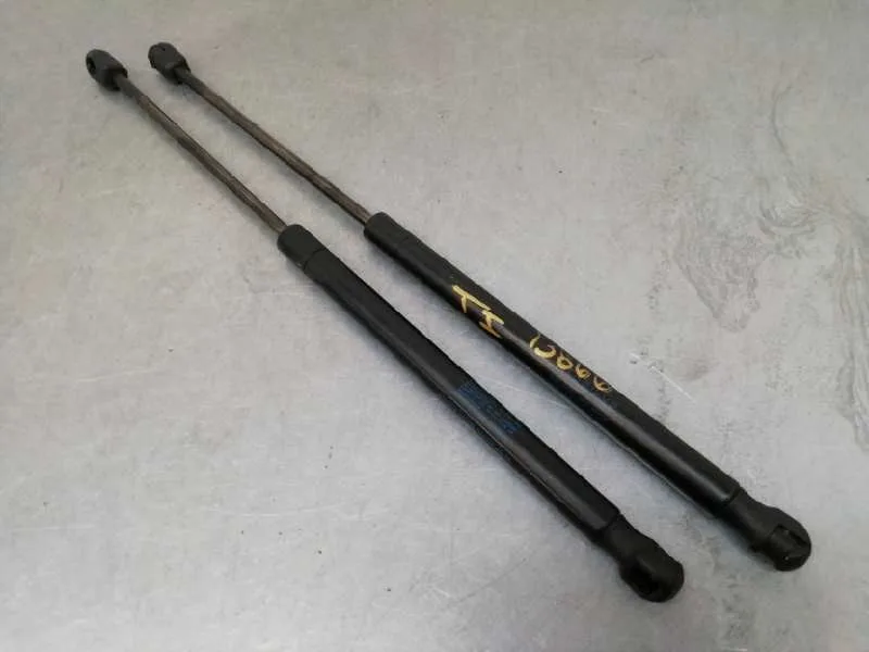 Amortiguadores Maletero / Porton para Renault Megane Ii Coupe/Cabrio