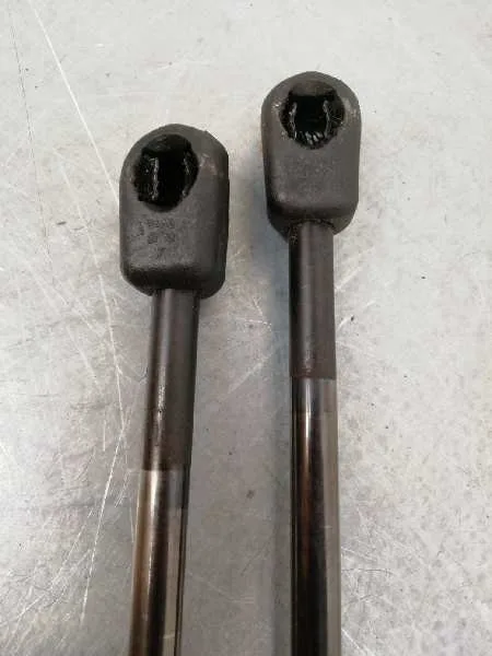Amortiguadores Maletero / Porton para Renault Megane Ii Coupe/Cabrio