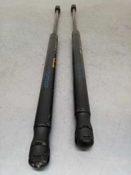 Amortiguadores Maletero / Porton para Renault Megane Ii Coupe/Cabrio