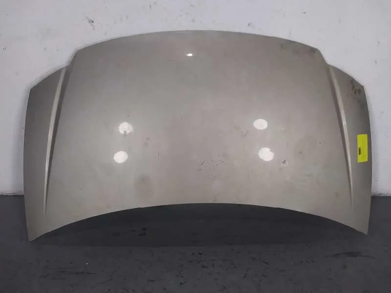 Capot para Chrysler Voyager (Rg)