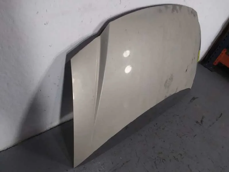 Capot para Chrysler Voyager (Rg)