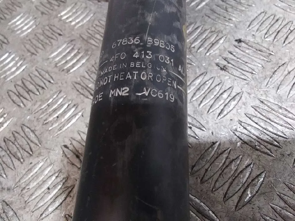 Amortiguador Delantero Izquierdo para Audi A6 Berlina (4F2)