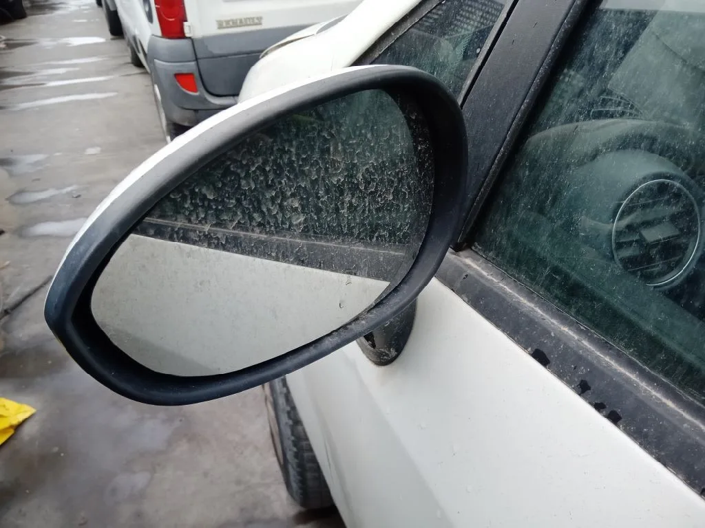 Retrovisor Izquierdo para Fiat Punto (Evo) (199)