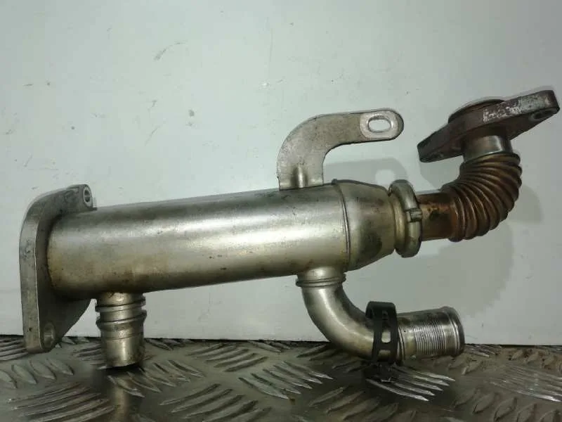 Enfriador Egr para Ford Focus Lim. (Cb4)