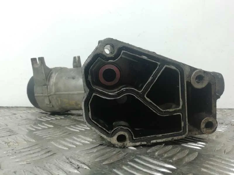 Soporte Filtro Aceite para Bmw Serie 3 Berlina (E46)