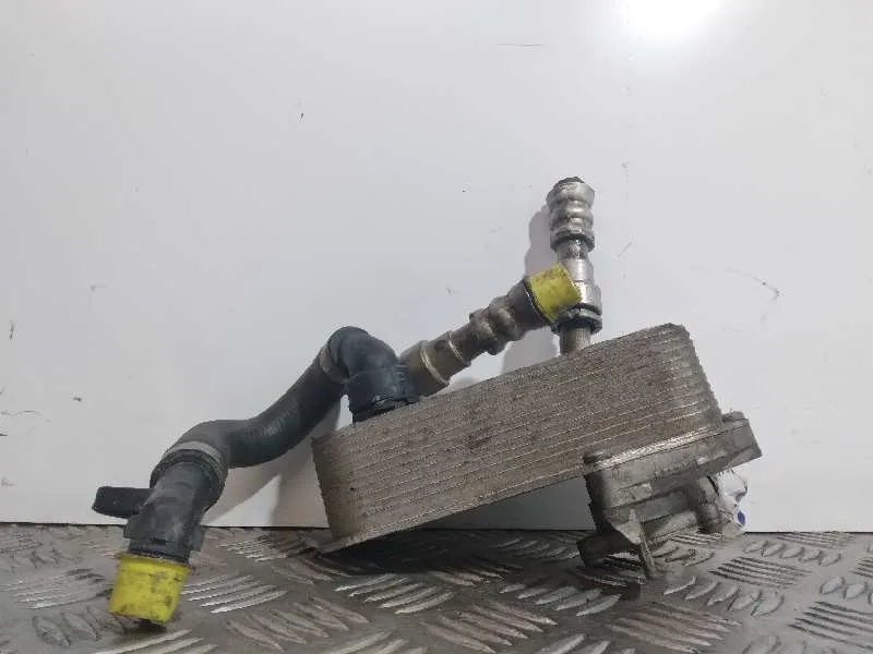 Enfriador Aceite Motor para Bmw Serie 3 Berlina (E90)
