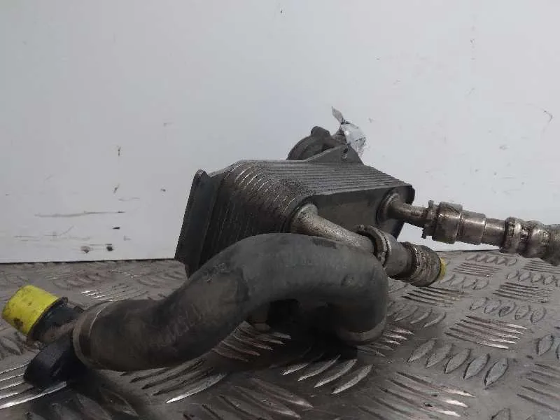 Enfriador Aceite Motor para Bmw Serie 3 Berlina (E90)