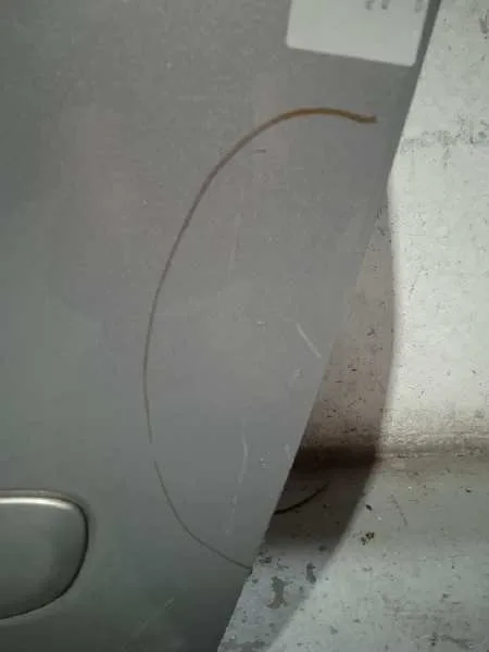Puerta Lateral Corredera Izquierda para Kia Carnival