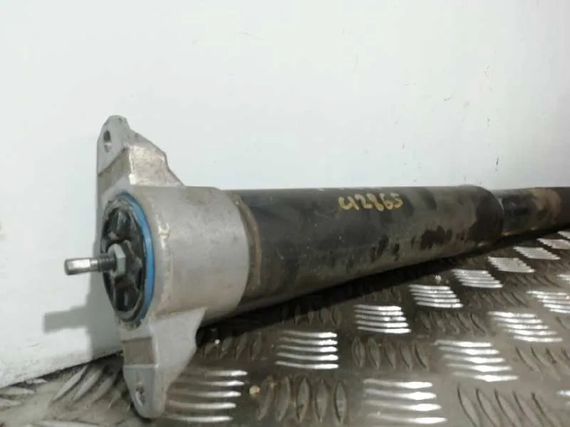 Amortiguador Trasero Izquierdo para Volvo V40