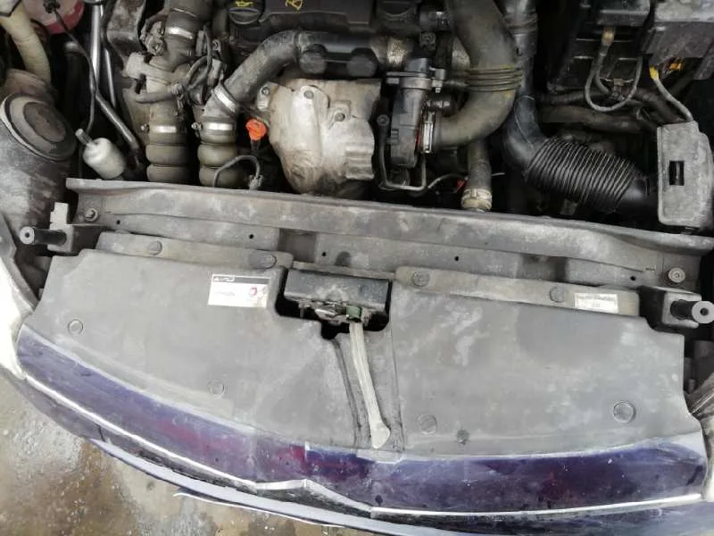 Panel Frontal para Citroën C4 Picasso