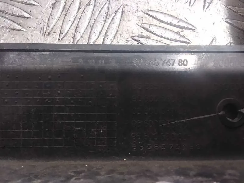 Panel Frontal para Citroën C4 Picasso