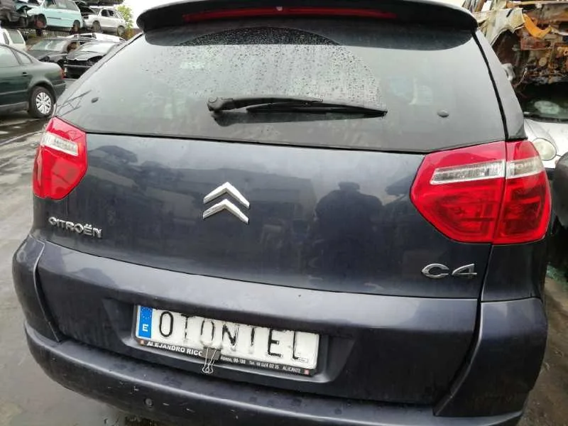 Porton Trasero para Citroën C4 Picasso