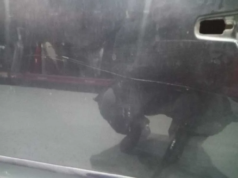 Puerta Delantera Izquierda para Citroën C4 Picasso