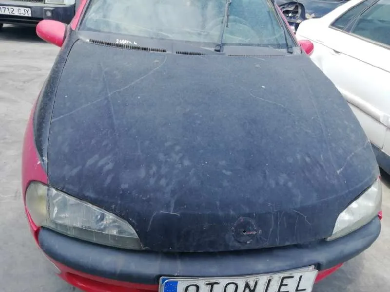 Capot para Opel Tigra