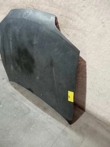 Capot para Opel Tigra