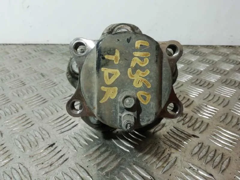 Mangueta Trasera Derecha para Nissan Qashqai (J10)