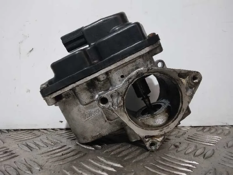 Valvula Egr para Seat Exeo Berlina (3R2)