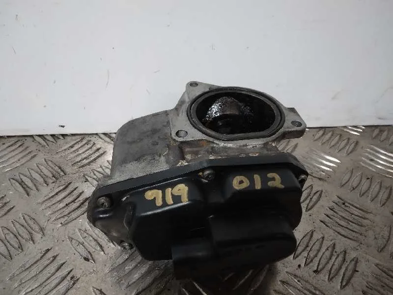 Valvula Egr para Seat Exeo Berlina (3R2)