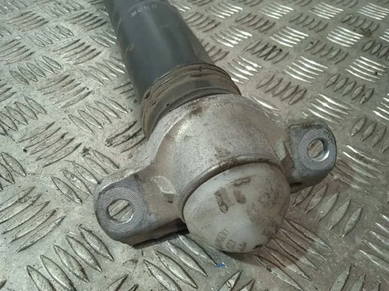 Amortiguador Trasero Derecho para Seat Leon St (5F8)