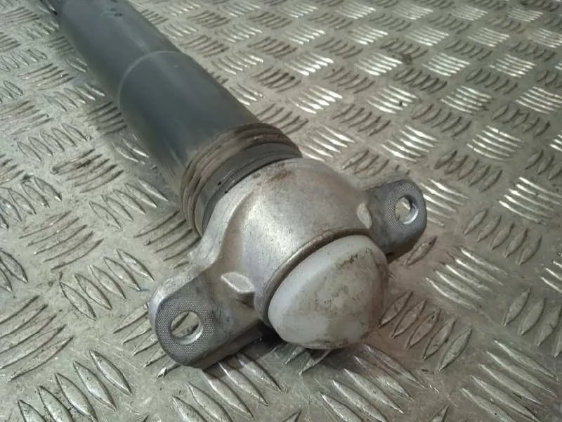 Amortiguador Trasero Izquierdo para Seat Leon St (5F8)