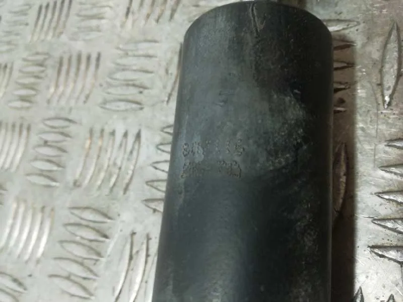 Amortiguador Trasero Izquierdo para Peugeot 207