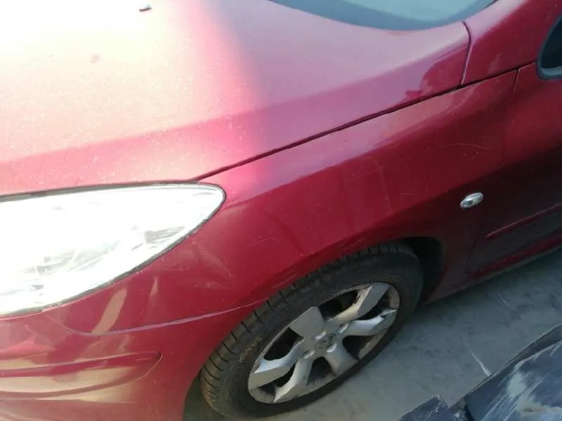 Aleta Delantera Izquierda para Peugeot 307 Cc (S2)