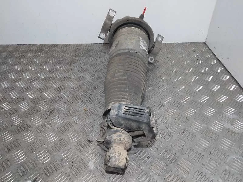 Amortiguador Trasero Izquierdo para Audi Q7 (4L)