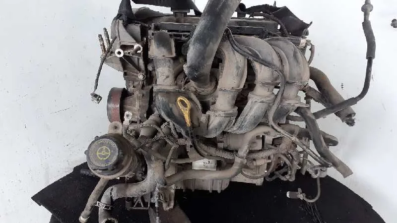 Despiece Motor para Ford Focus Berlina (Cap)