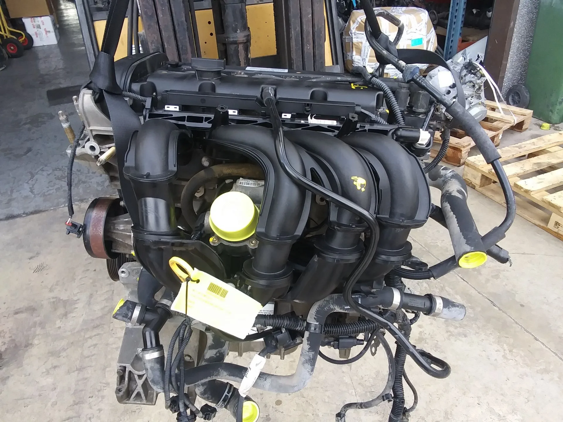 Despiece Motor para Ford Focus Berlina (Cap)