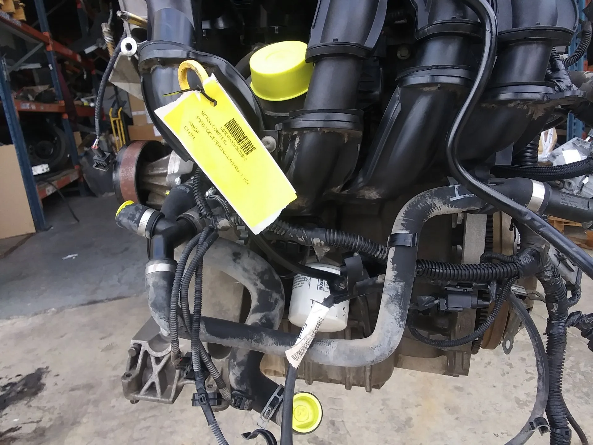 Despiece Motor para Ford Focus Berlina (Cap)