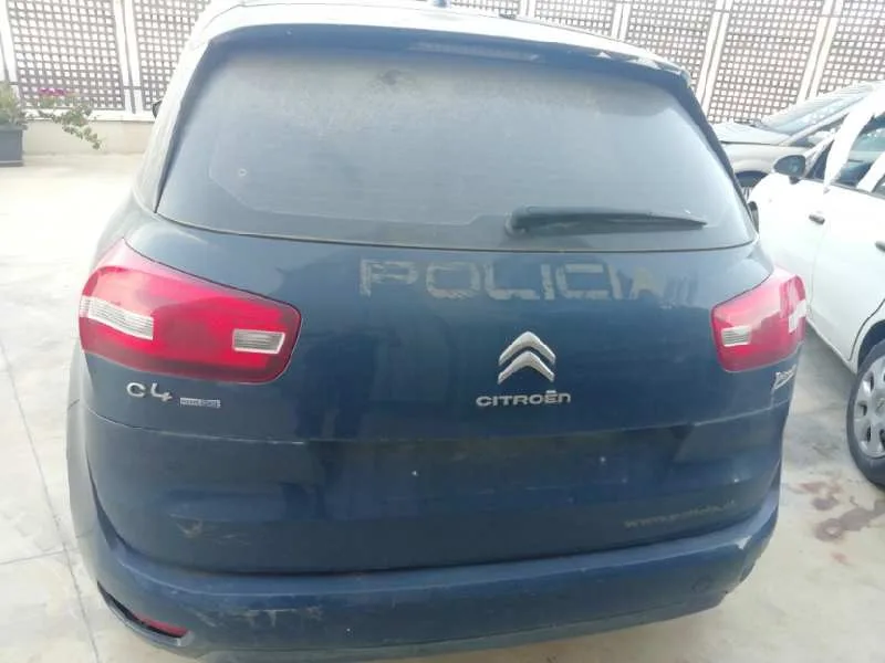 Porton Trasero para Citroën C4 Picasso