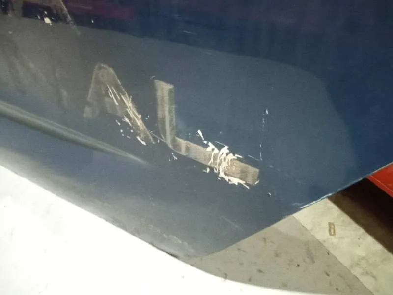 Puerta Trasera Izquierda para Citroën C4 Picasso
