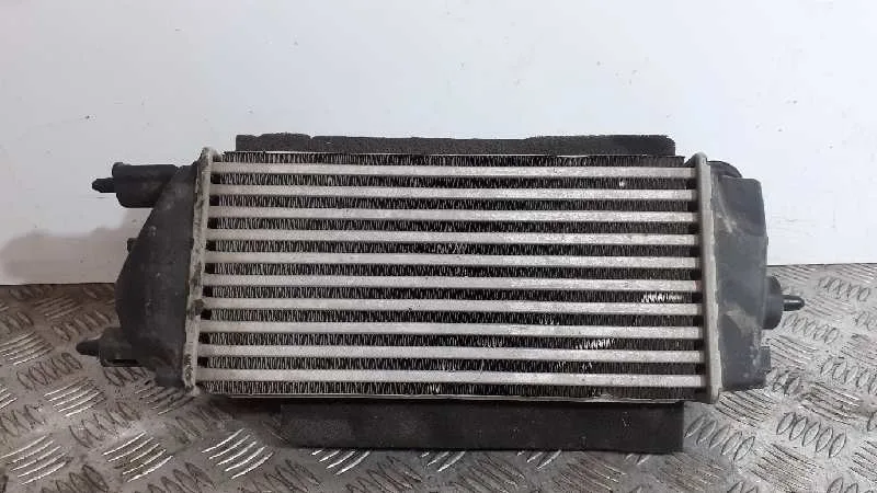 Intercooler para Ford Fiesta (Ccn)