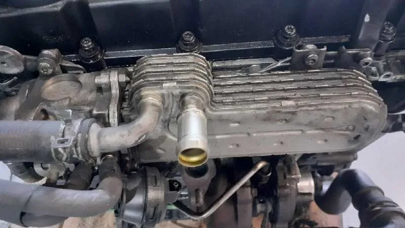 Enfriador Egr para Volkswagen Golf V Berlina (1K1)