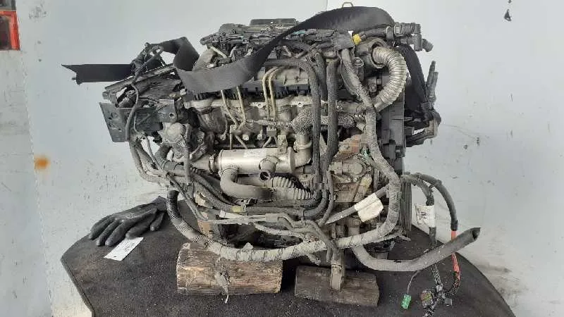 Despiece Motor para Ford Focus Sportbreak (Cap)