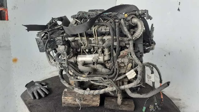Despiece Motor para Ford Focus Sportbreak (Cap)
