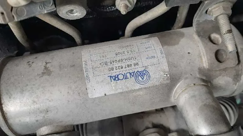 Despiece Motor para Ford Focus Sportbreak (Cap)