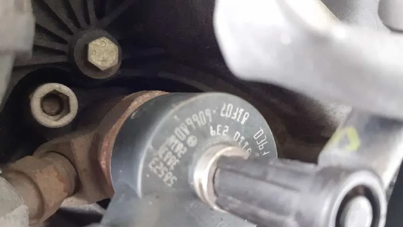 Despiece Motor para Ford Focus Sportbreak (Cap)