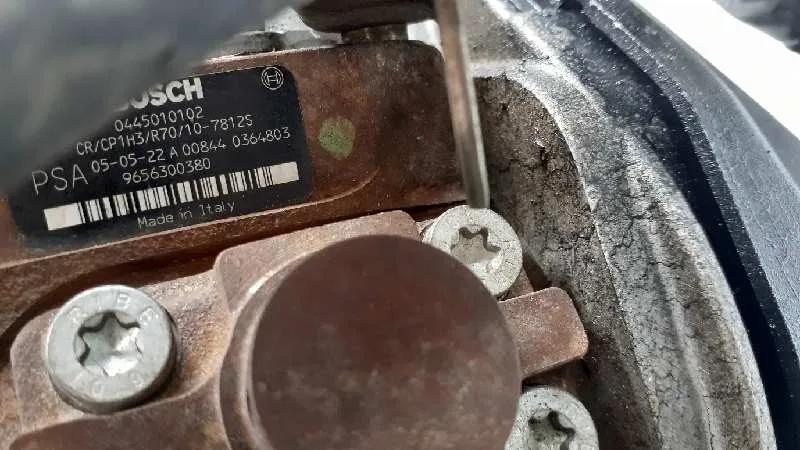 Despiece Motor para Ford Focus Sportbreak (Cap)