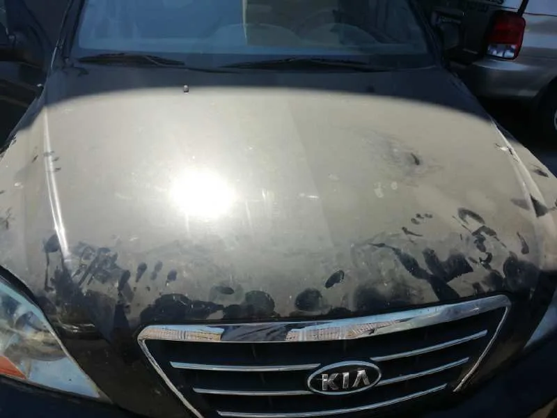 Capot para Kia Sorento