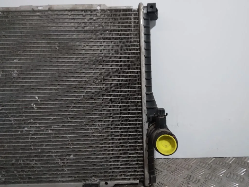 Radiador Agua para Bmw Serie 5 Berlina (E39)