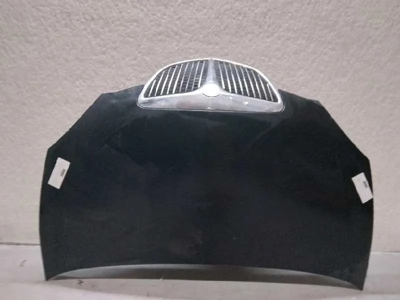Capot para Lancia Ypsilon (101)
