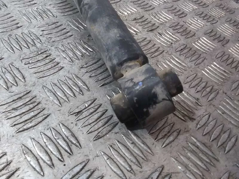 Amortiguador Trasero Izquierdo para Audi A4 Berlina (8W2)