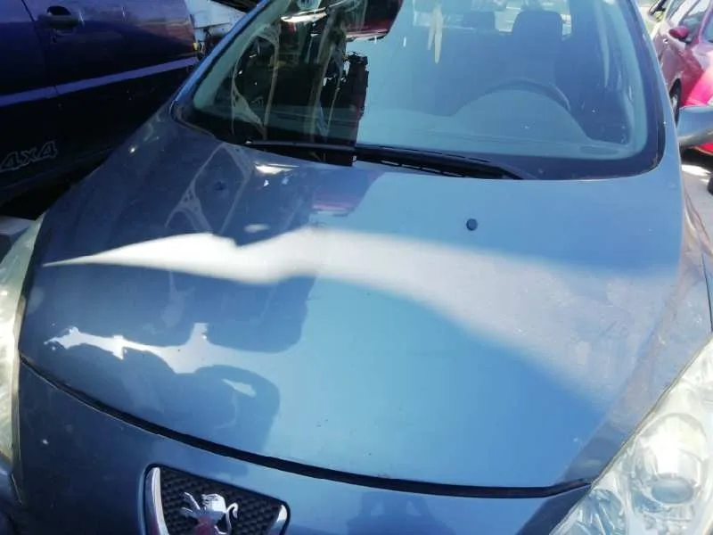 Capot para Peugeot 307 Berlina (S2)