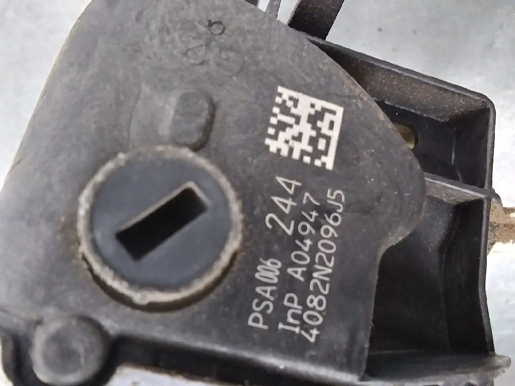 Cerradura Puerta Delantera Izquierda para Citroën C3