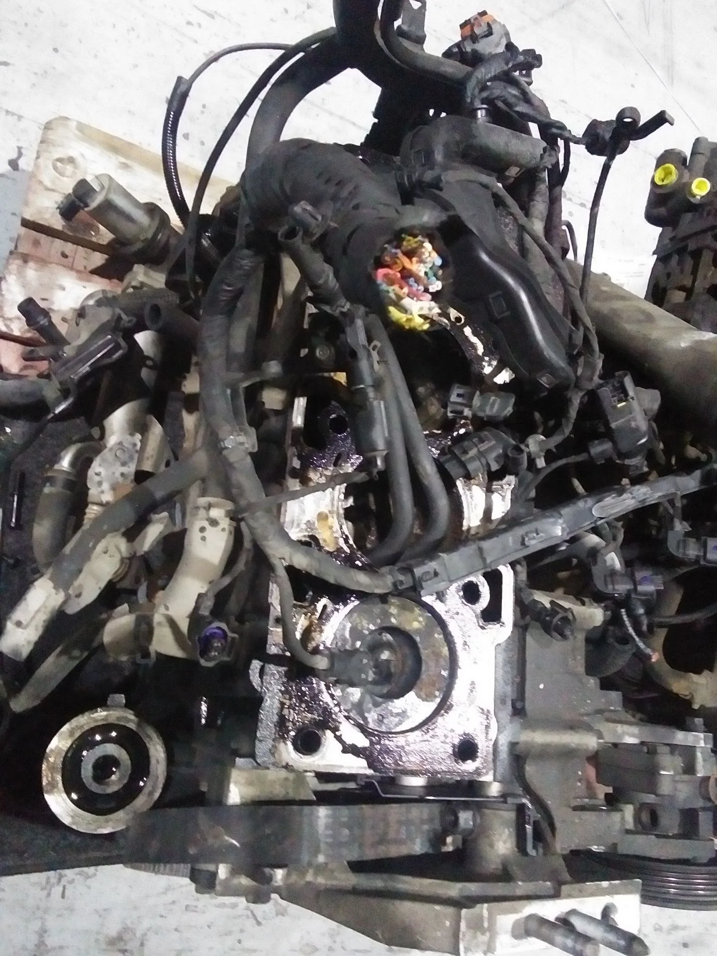 Despiece Motor para Kia Carens (Un)